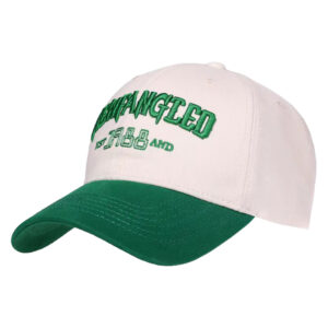 New Custom 3D Embroidery Logo Twill Colors 100% Cotton 6 Panel Baseball Caps